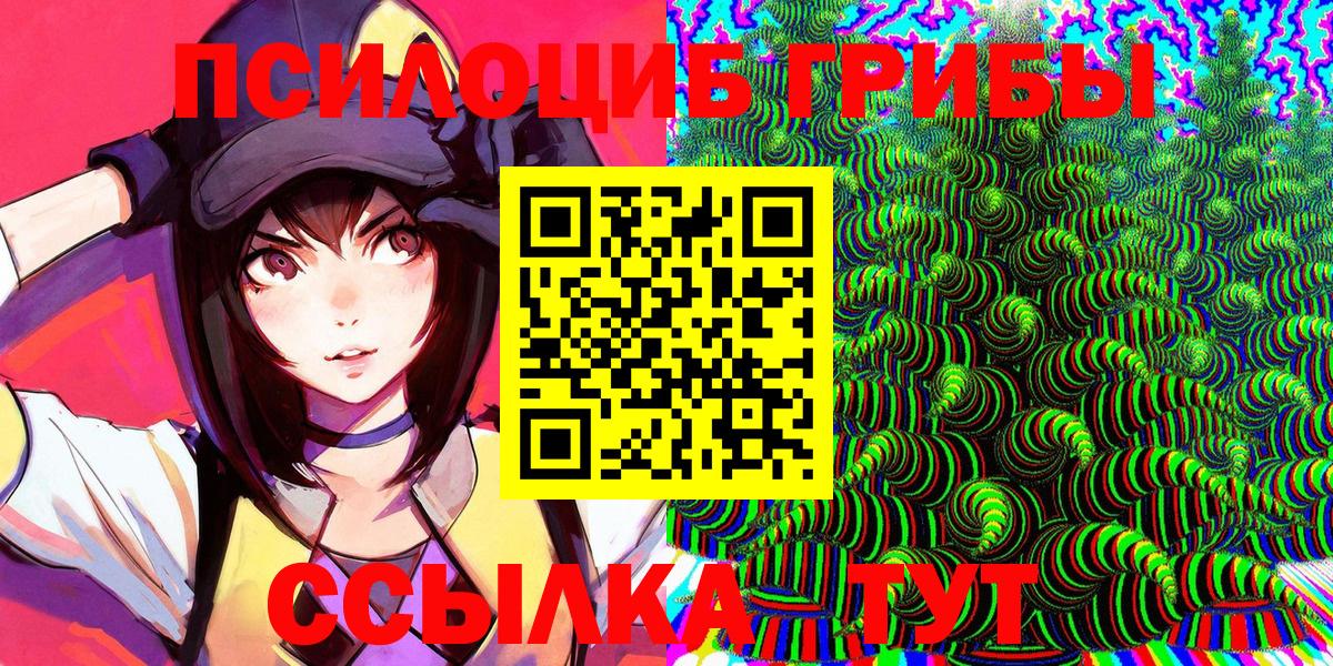 Галлюциногенные грибы Psilocybe  сколько стоит  Дубна  Вход с VPN 